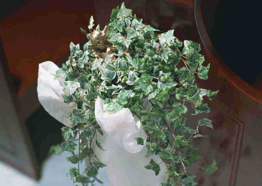 Wedding Flowers - Datacraft Sozaijiten  ></a>
<script language=JavaScript> 
  var txt = 