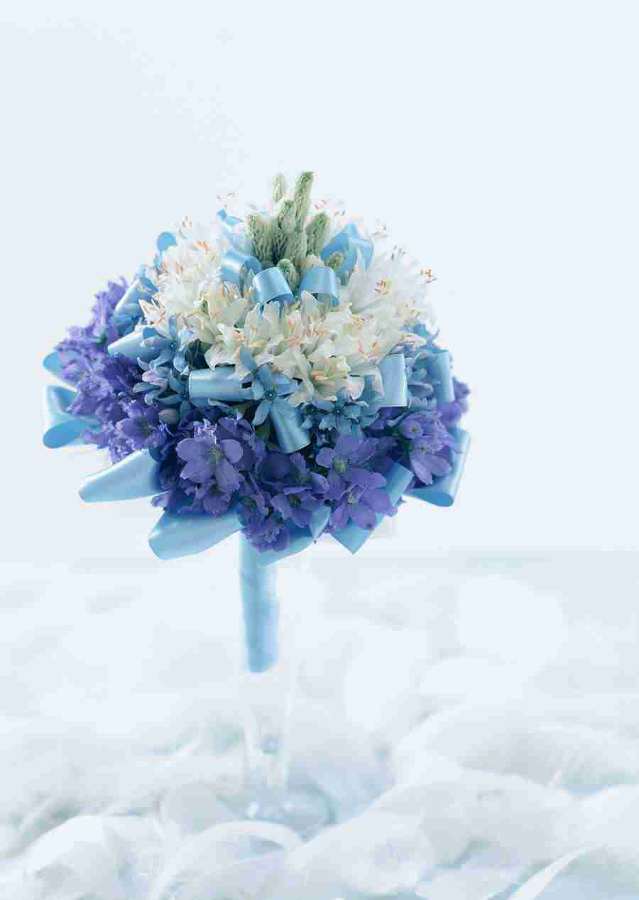 Wedding Flowers - Datacraft Sozaijiten  ></a>
<script language=JavaScript> 
  var txt = 