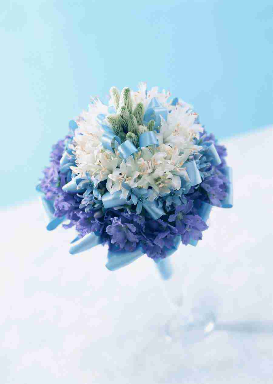 Wedding Flowers - Datacraft Sozaijiten  ></a>
<script language=JavaScript> 
  var txt = 