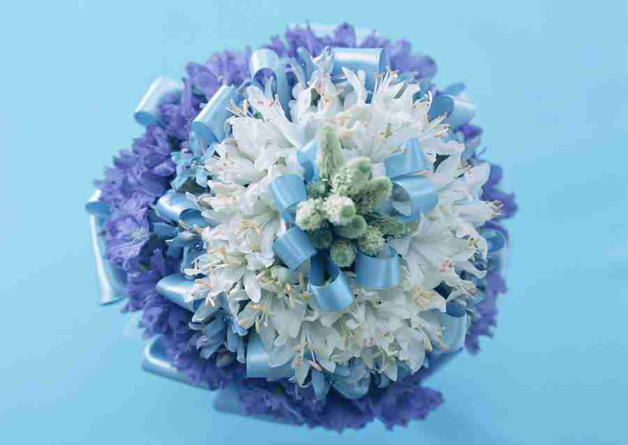 Wedding Flowers - Datacraft Sozaijiten  ></a>
<script language=JavaScript> 
  var txt = 