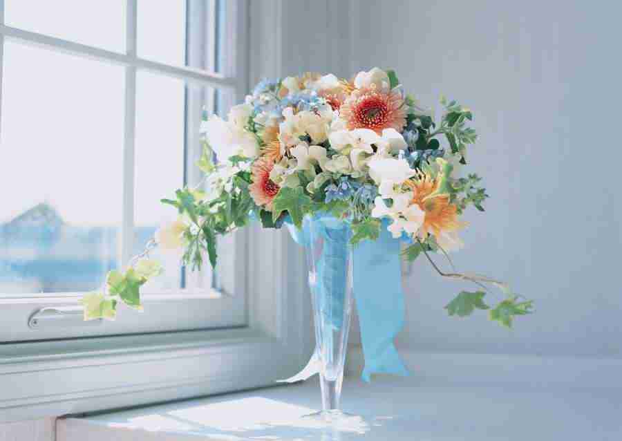 Wedding Flowers - Datacraft Sozaijiten  ></a>
<script language=JavaScript> 
  var txt = 