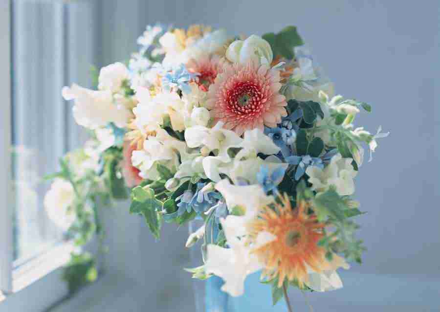 Wedding Flowers - Datacraft Sozaijiten  ></a>
<script language=JavaScript> 
  var txt = 