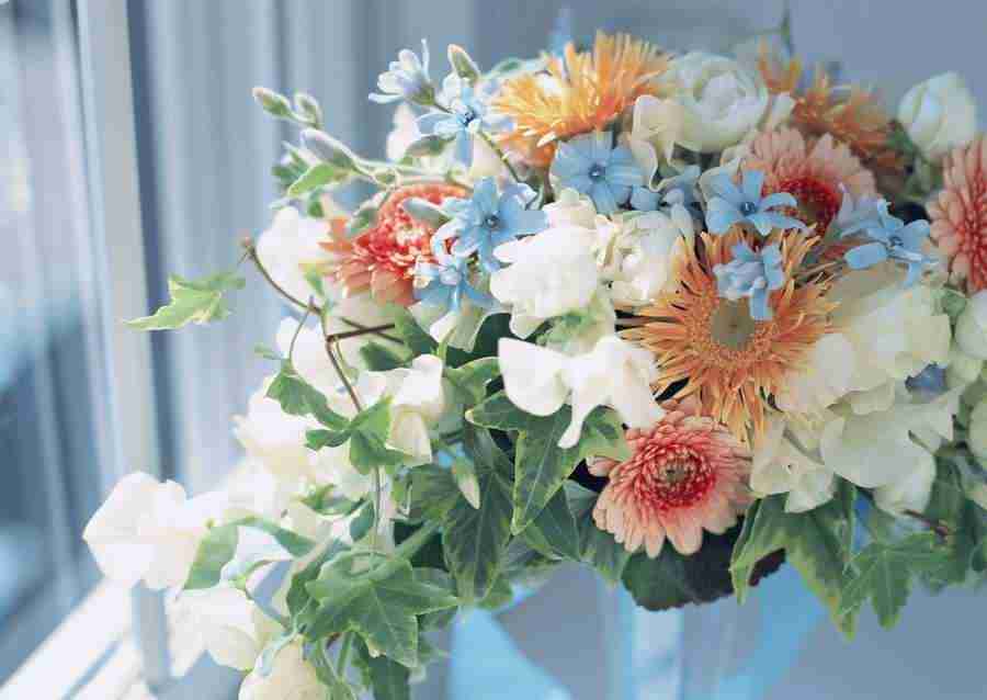 Wedding Flowers - Datacraft Sozaijiten  ></a>
<script language=JavaScript> 
  var txt = 