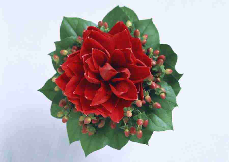Wedding Flowers - Datacraft Sozaijiten  ></a>
<script language=JavaScript> 
  var txt = 