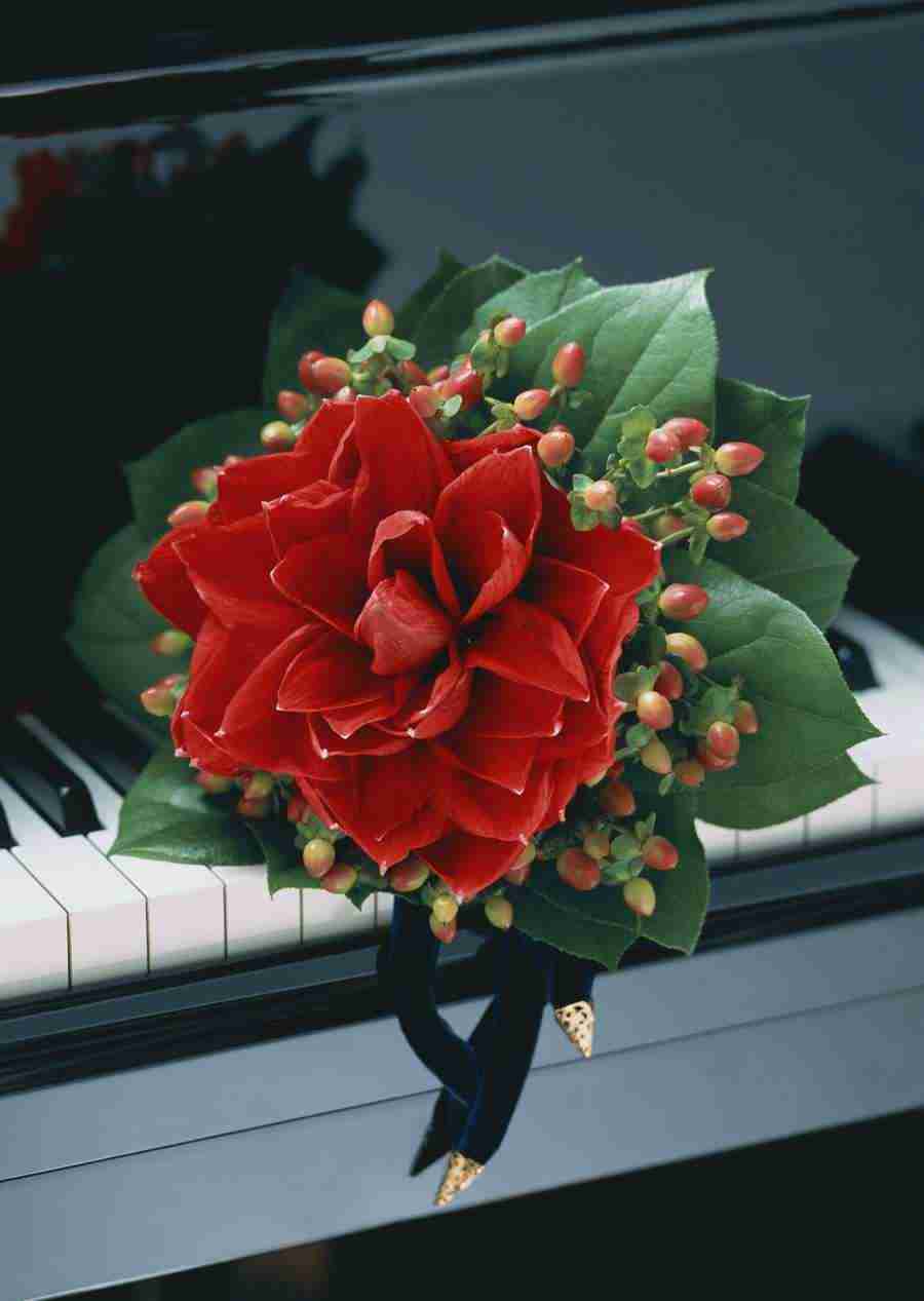 Wedding Flowers - Datacraft Sozaijiten  ></a>
<script language=JavaScript> 
  var txt = 