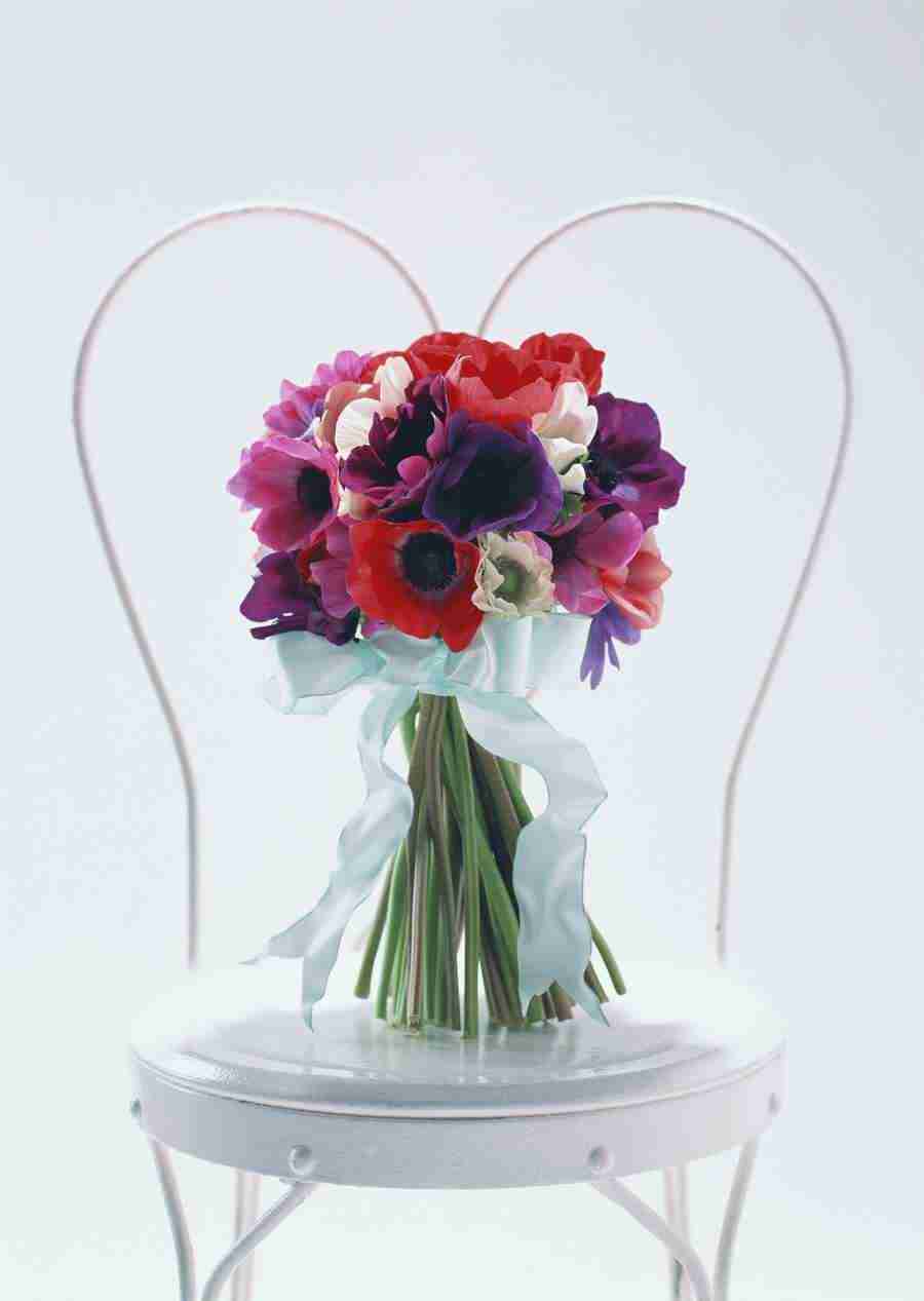 Wedding Flowers - Datacraft Sozaijiten  ></a>
<script language=JavaScript> 
  var txt = 