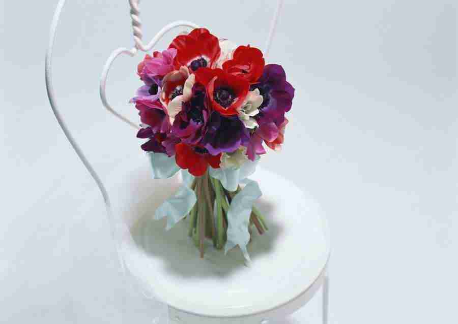 Wedding Flowers - Datacraft Sozaijiten  ></a>
<script language=JavaScript> 
  var txt = 