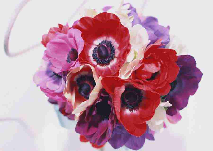 Wedding Flowers - Datacraft Sozaijiten  ></a>
<script language=JavaScript> 
  var txt = 