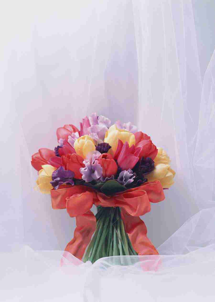 Wedding Flowers - Datacraft Sozaijiten  ></a>
<script language=JavaScript> 
  var txt = 