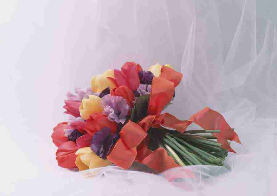 Wedding Flowers - Datacraft Sozaijiten  ></a>
<script language=JavaScript> 
  var txt = 