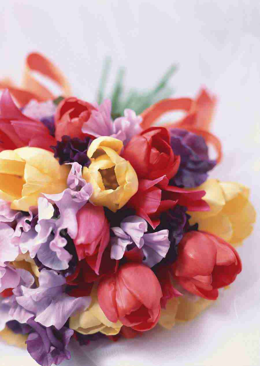 Wedding Flowers - Datacraft Sozaijiten  ></a>
<script language=JavaScript> 
  var txt = 