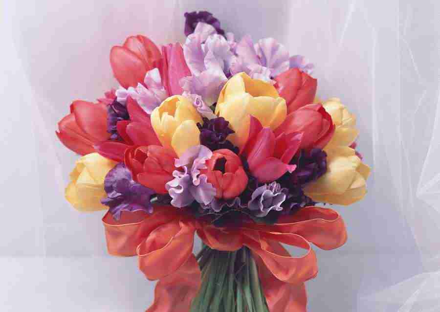 Wedding Flowers - Datacraft Sozaijiten  ></a>
<script language=JavaScript> 
  var txt = 
