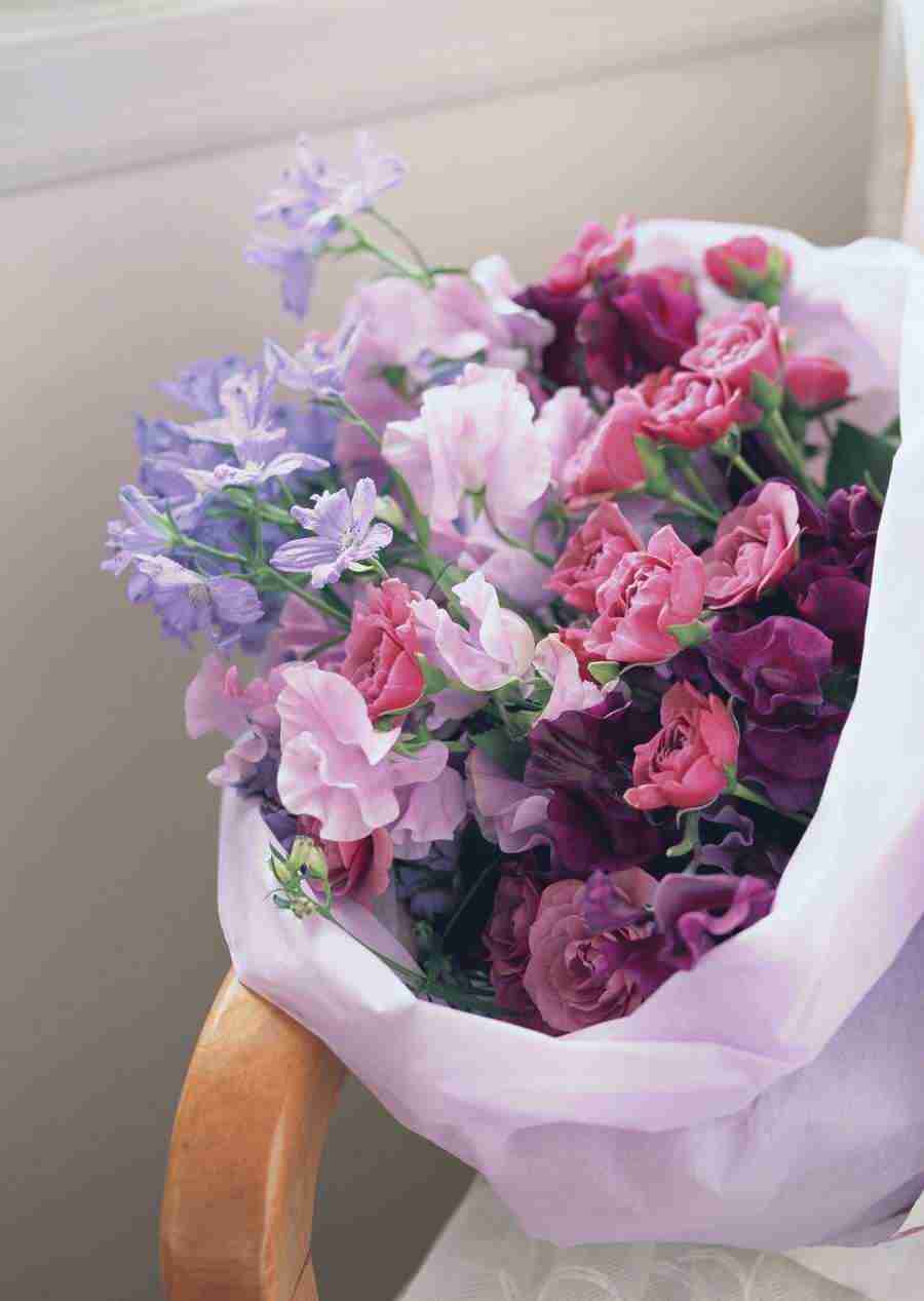 Wedding Flowers - Datacraft Sozaijiten  ></a>
<script language=JavaScript> 
  var txt = 
