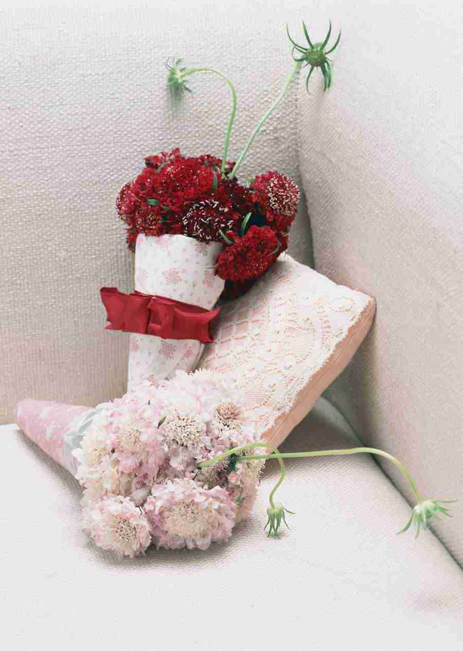 Wedding Flowers - Datacraft Sozaijiten  ></a>
<script language=JavaScript> 
  var txt = 