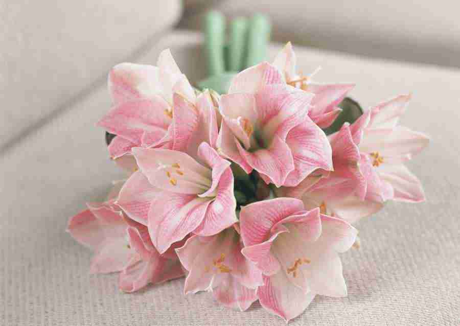 Wedding Flowers - Datacraft Sozaijiten  ></a>
<script language=JavaScript> 
  var txt = 