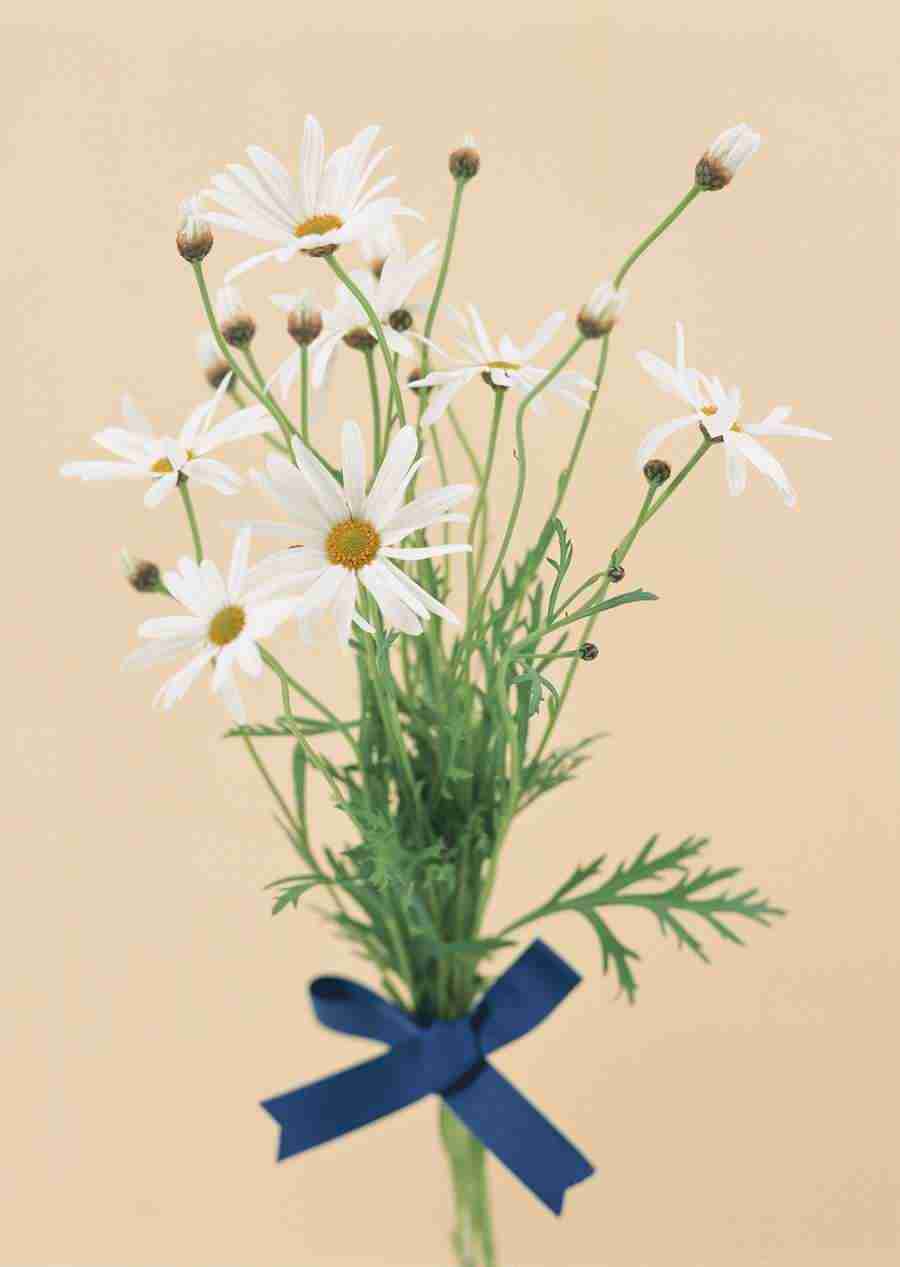 Wedding Flowers - Datacraft Sozaijiten  ></a>
<script language=JavaScript> 
  var txt = 