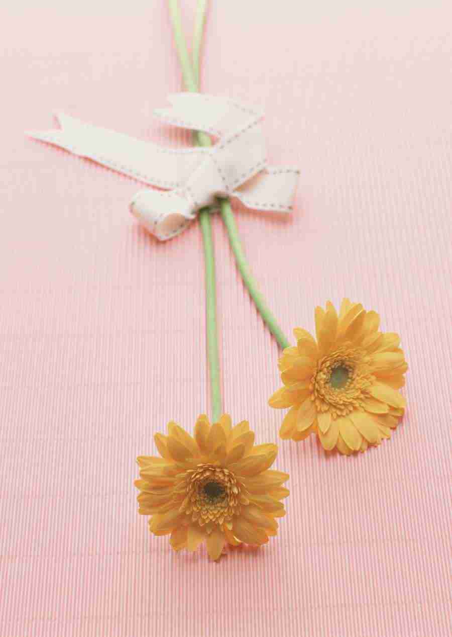 Wedding Flowers - Datacraft Sozaijiten  ></a>
<script language=JavaScript> 
  var txt = 