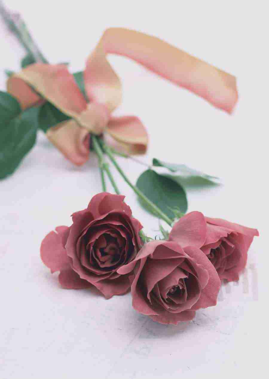 Wedding Flowers - Datacraft Sozaijiten  ></a>
<script language=JavaScript> 
  var txt = 