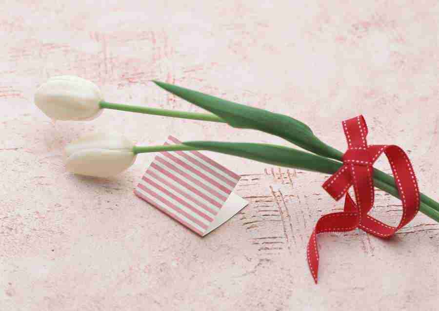 Wedding Flowers - Datacraft Sozaijiten  ></a>
<script language=JavaScript> 
  var txt = 