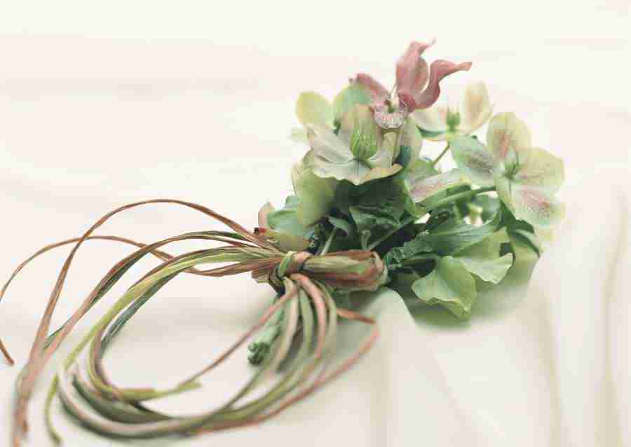 Wedding Flowers - Datacraft Sozaijiten  ></a>
<script language=JavaScript> 
  var txt = 