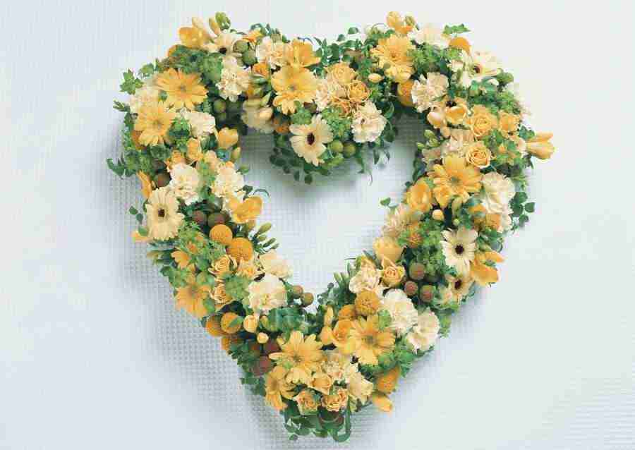 Wedding Flowers - Datacraft Sozaijiten  ></a>
<script language=JavaScript> 
  var txt = 