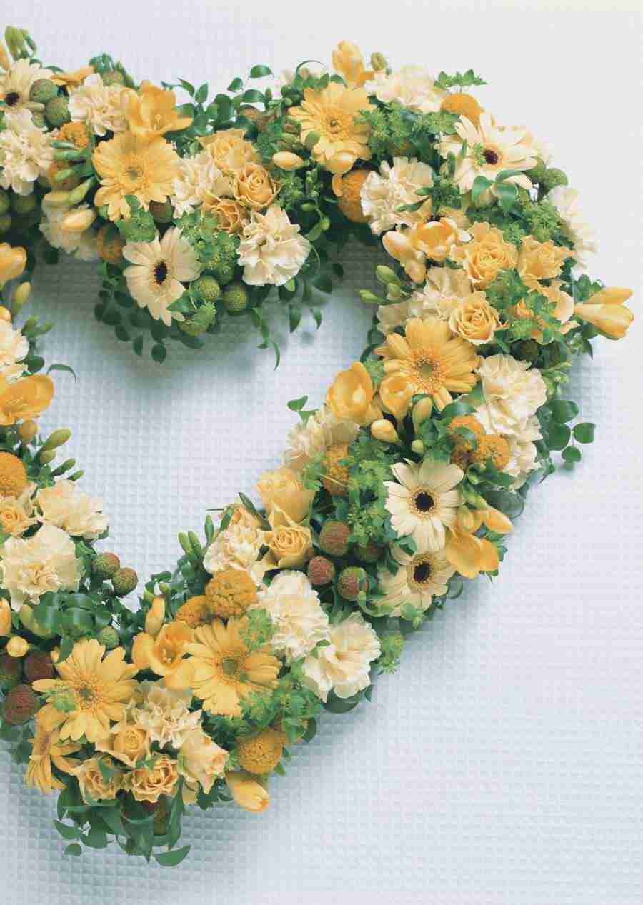 Wedding Flowers - Datacraft Sozaijiten  ></a>
<script language=JavaScript> 
  var txt = 