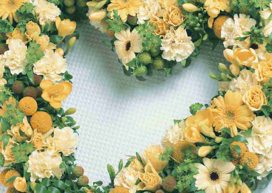 Wedding Flowers - Datacraft Sozaijiten  ></a>
<script language=JavaScript> 
  var txt = 