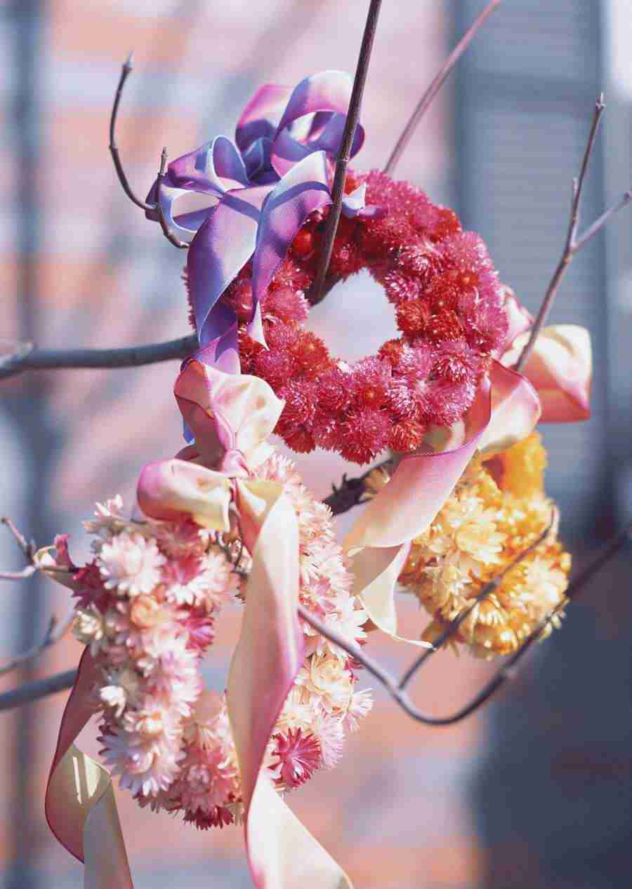Wedding Flowers - Datacraft Sozaijiten  ></a>
<script language=JavaScript> 
  var txt = 