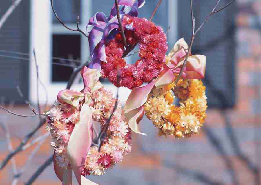 Wedding Flowers - Datacraft Sozaijiten  ></a>
<script language=JavaScript> 
  var txt = 