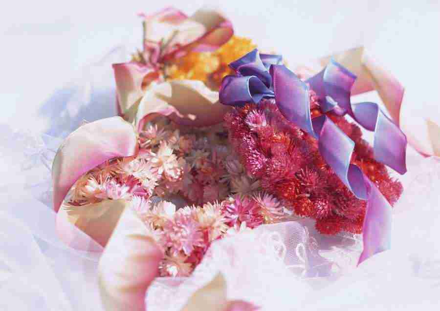 Wedding Flowers - Datacraft Sozaijiten  ></a>
<script language=JavaScript> 
  var txt = 