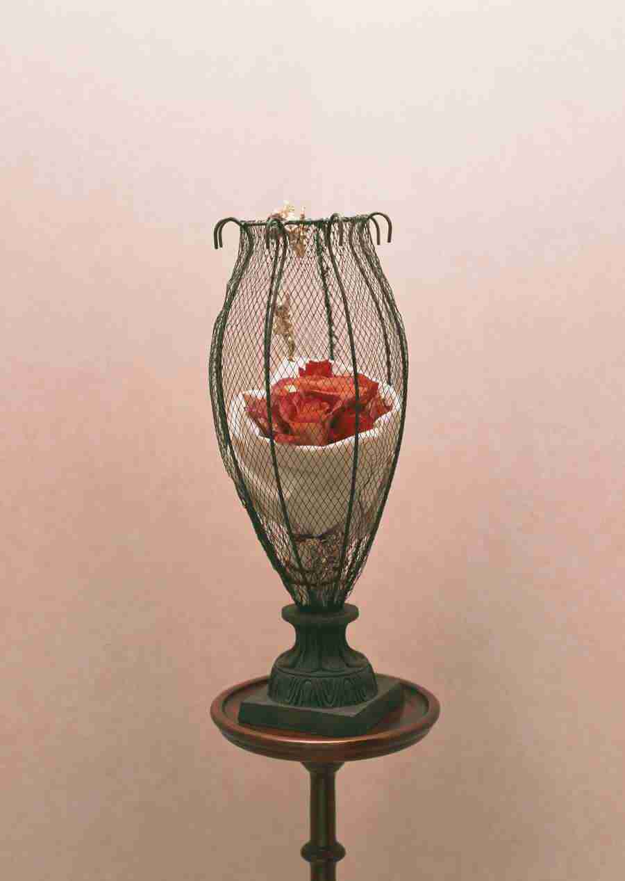 Wedding Flowers - Datacraft Sozaijiten  ></a>
<script language=JavaScript> 
  var txt = 