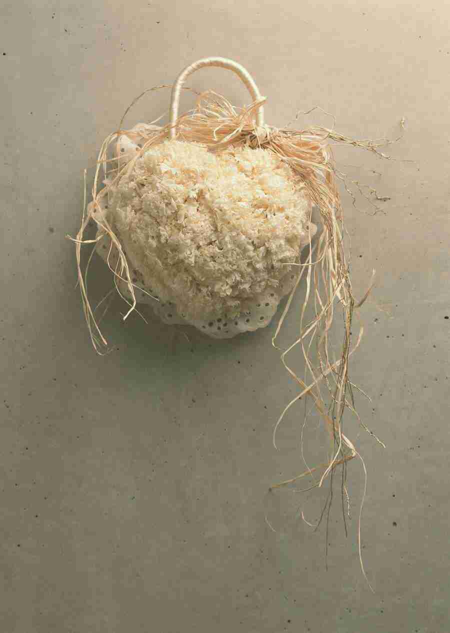 Wedding Flowers - Datacraft Sozaijiten  ></a>
<script language=JavaScript> 
  var txt = 