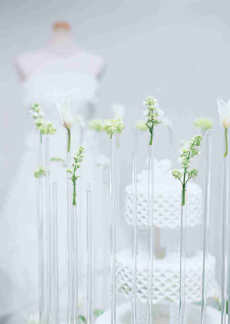 Wedding Flowers - Datacraft Sozaijiten  ></a>
<script language=JavaScript> 
  var txt = 