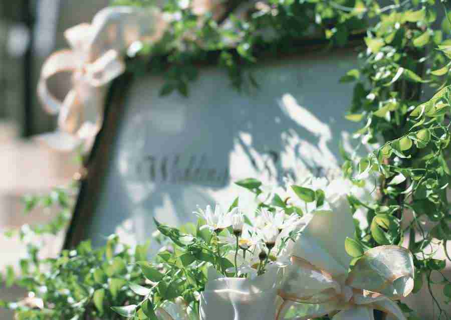 Wedding Flowers - Datacraft Sozaijiten  ></a>
<script language=JavaScript> 
  var txt = 