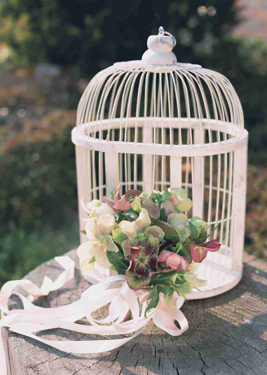 Wedding Flowers - Datacraft Sozaijiten  ></a>
<script language=JavaScript> 
  var txt = 