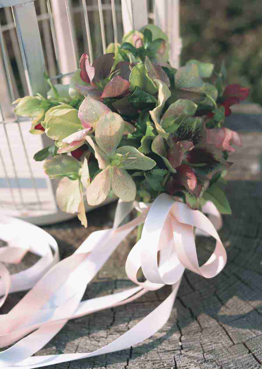 Wedding Flowers - Datacraft Sozaijiten  ></a>
<script language=JavaScript> 
  var txt = 
