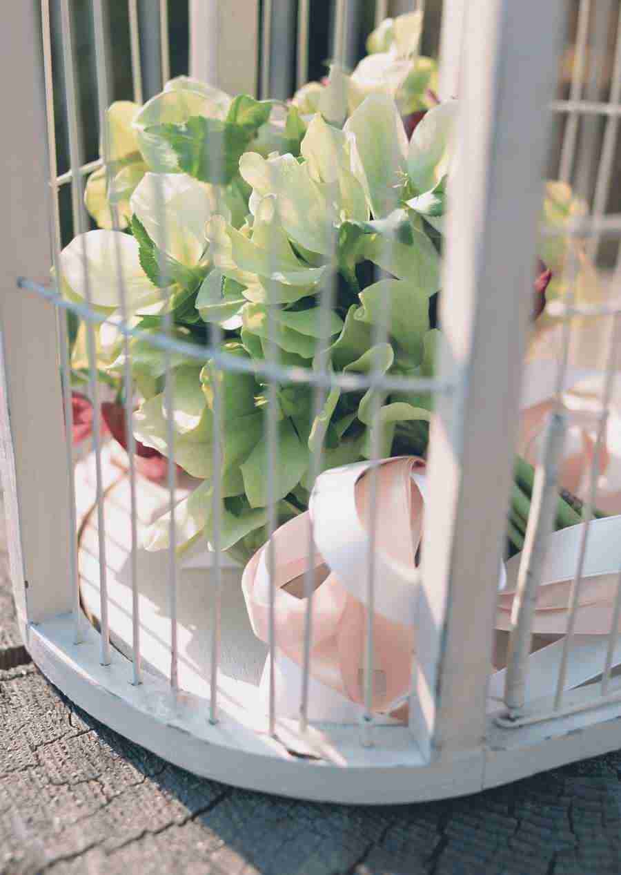 Wedding Flowers - Datacraft Sozaijiten  ></a>
<script language=JavaScript> 
  var txt = 