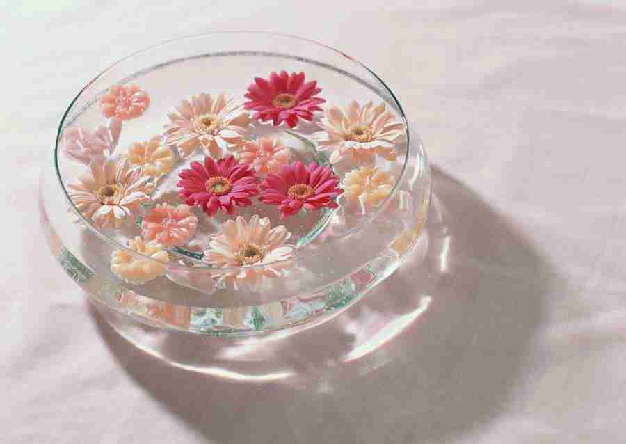 Wedding Flowers - Datacraft Sozaijiten  ></a>
<script language=JavaScript> 
  var txt = 