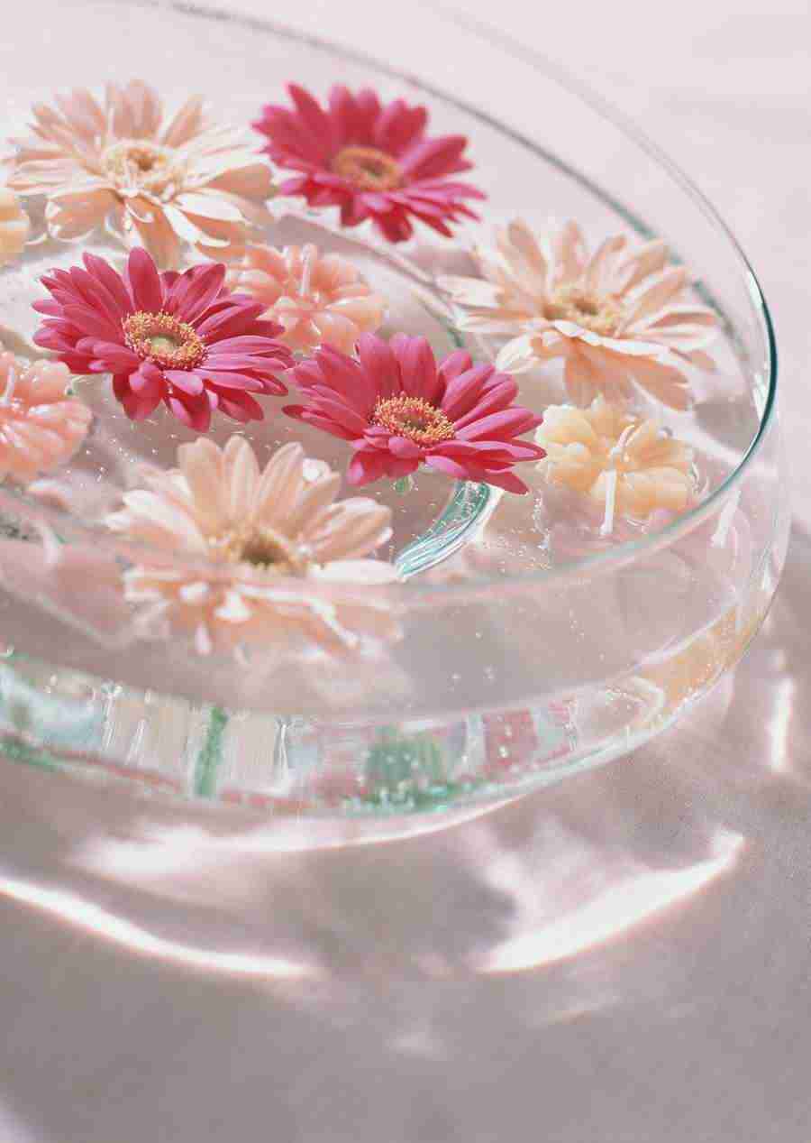 Wedding Flowers - Datacraft Sozaijiten  ></a>
<script language=JavaScript> 
  var txt = 