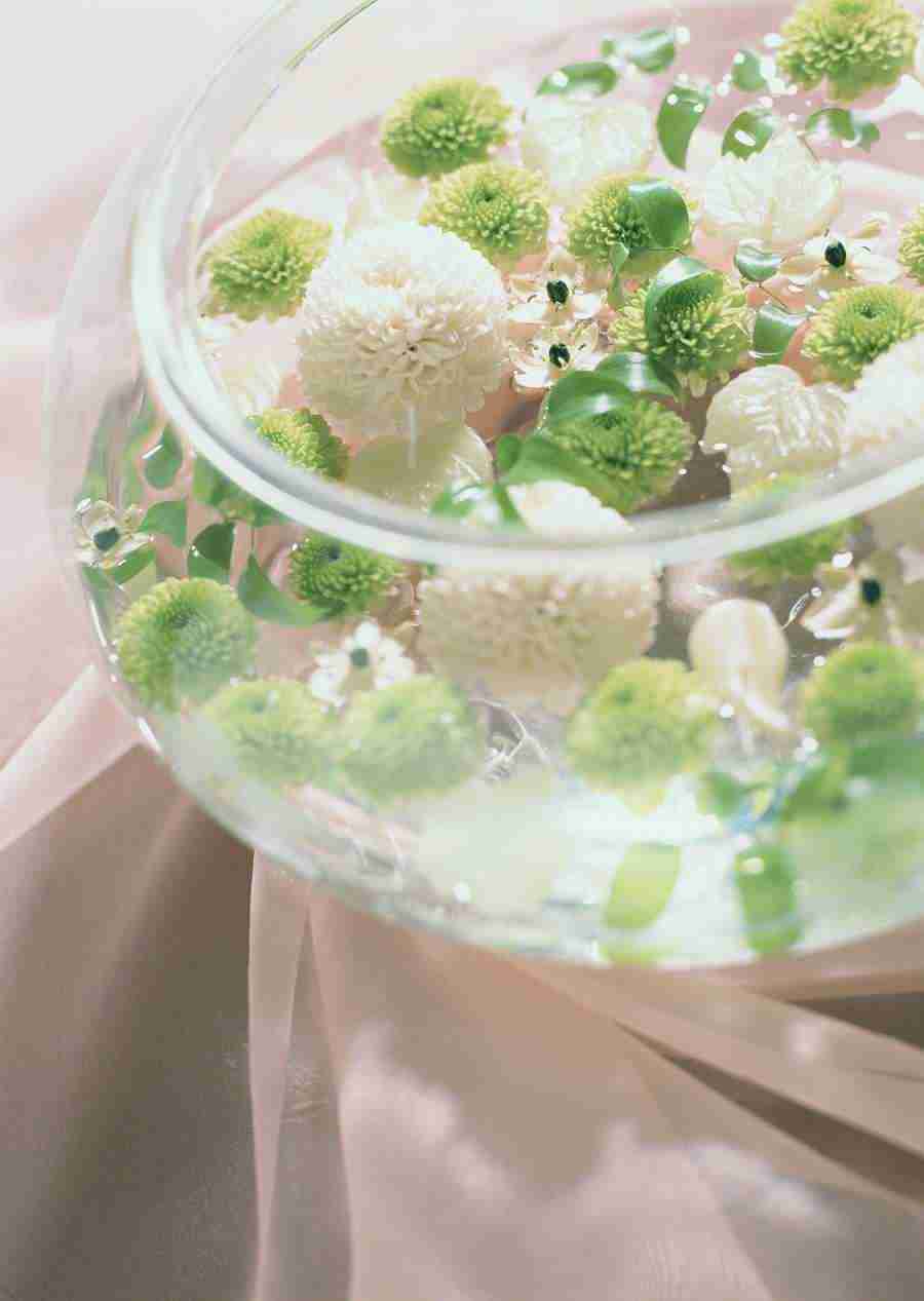 Wedding Flowers - Datacraft Sozaijiten  ></a>
<script language=JavaScript> 
  var txt = 