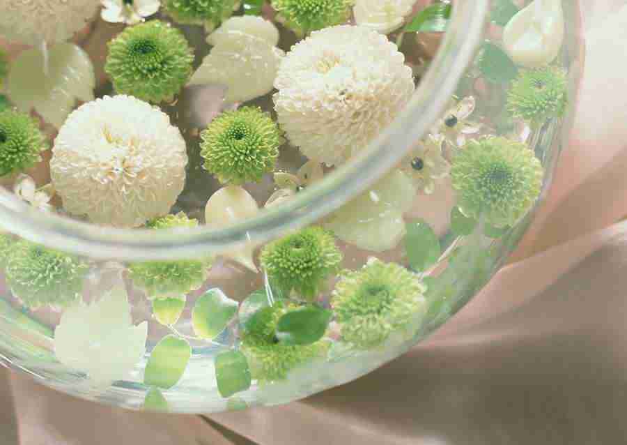 Wedding Flowers - Datacraft Sozaijiten  ></a>
<script language=JavaScript> 
  var txt = 