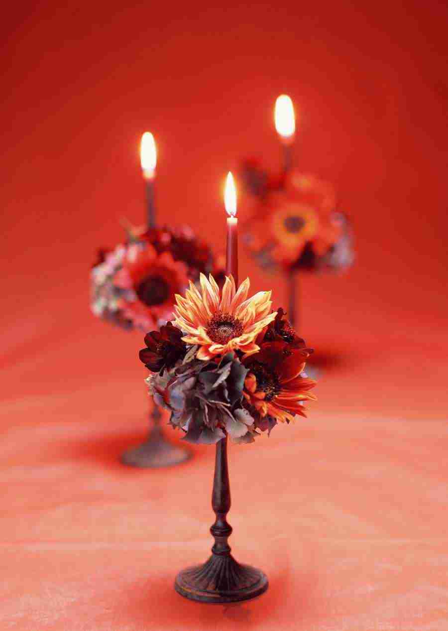 Wedding Flowers - Datacraft Sozaijiten  ></a>
<script language=JavaScript> 
  var txt = 
