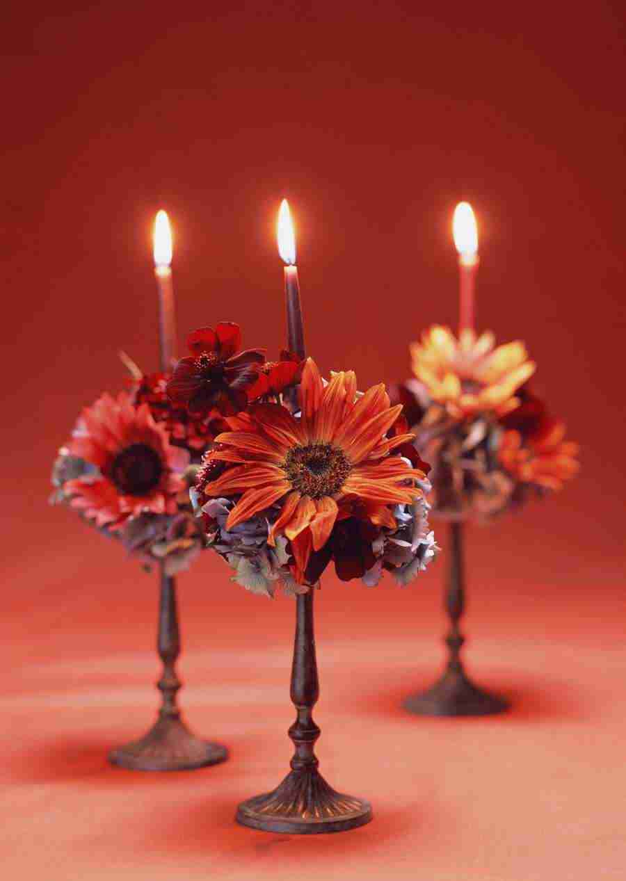 Wedding Flowers - Datacraft Sozaijiten  ></a>
<script language=JavaScript> 
  var txt = 