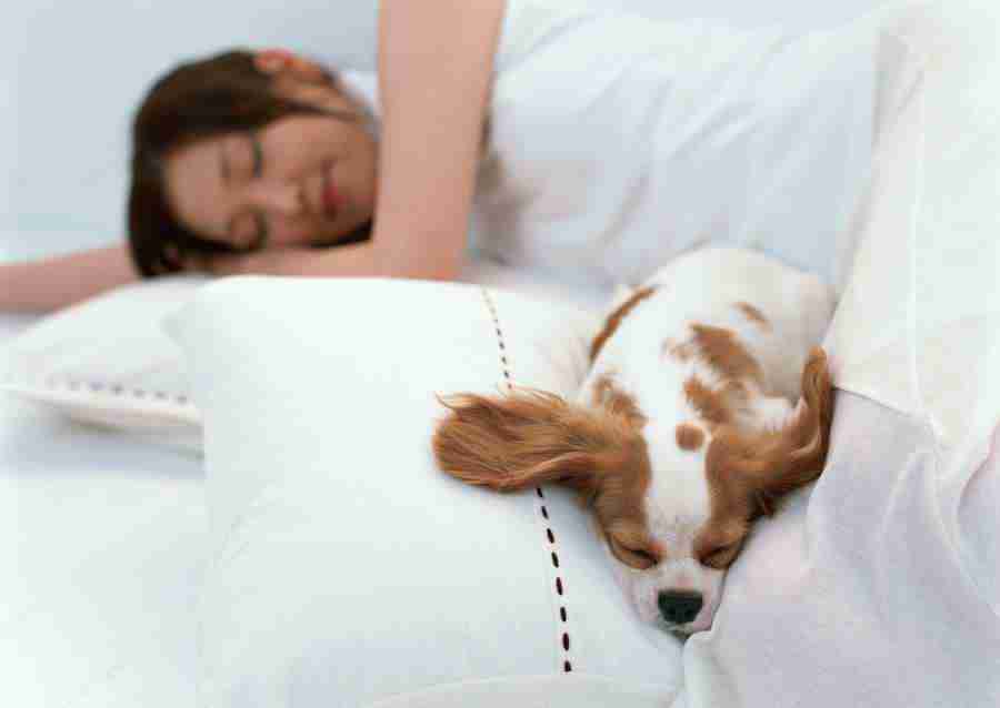 Woman Private Time - Datacraft Sozaijiten  ></a>
<script language=JavaScript> 
  var txt = 