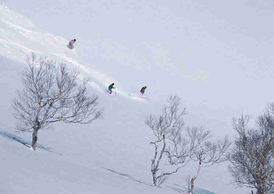 Winter Sports And Resorts - Datacraft Sozaijiten  ></a>
<script language=JavaScript> 
  var txt = 