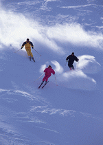 Winter Sports And Resorts