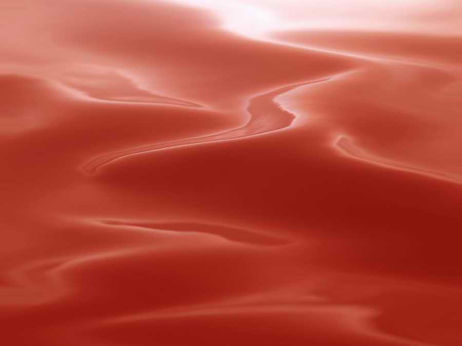 Abstract 1 - Dex Super Gu ></a>
<script language=JavaScript> 
  var txt = 