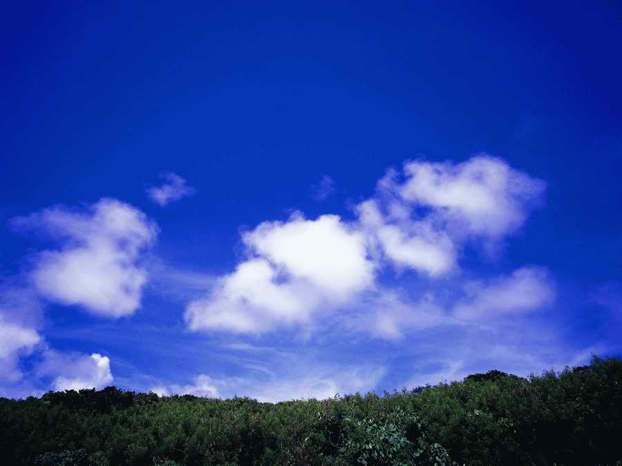 Scenery - Dex Super Gu ></a>
<script language=JavaScript> 
  var txt = 