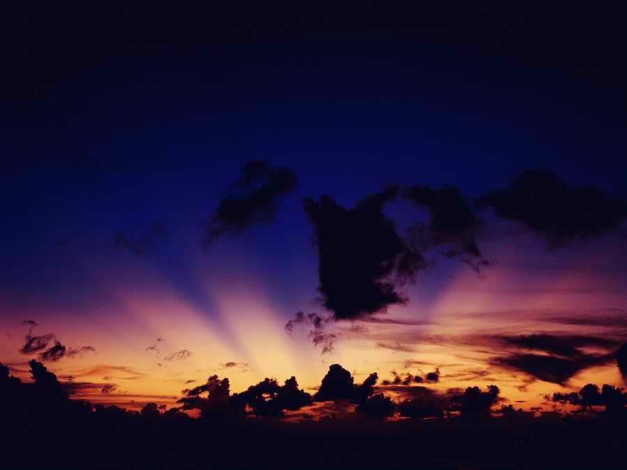 Scenery - Dex Super Gu ></a>
<script language=JavaScript> 
  var txt = 