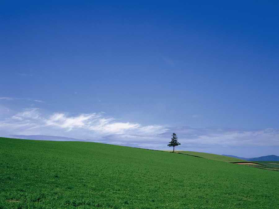 Scenery - Dex Super Gu ></a>
<script language=JavaScript> 
  var txt = 